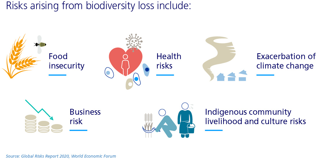 Loss Of Biodiversity Puts Food Supplies Medical Care At Risk 6898